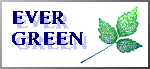 [ EVER-GREEN ]